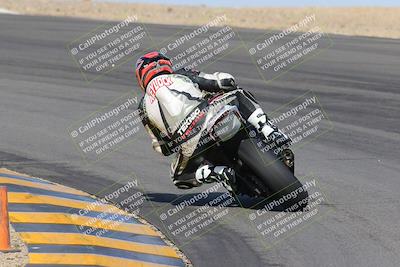 media/Feb-04-2023-SoCal Trackdays (Sat) [[8a776bf2c3]]/Turn 10 Backside (1010am)/